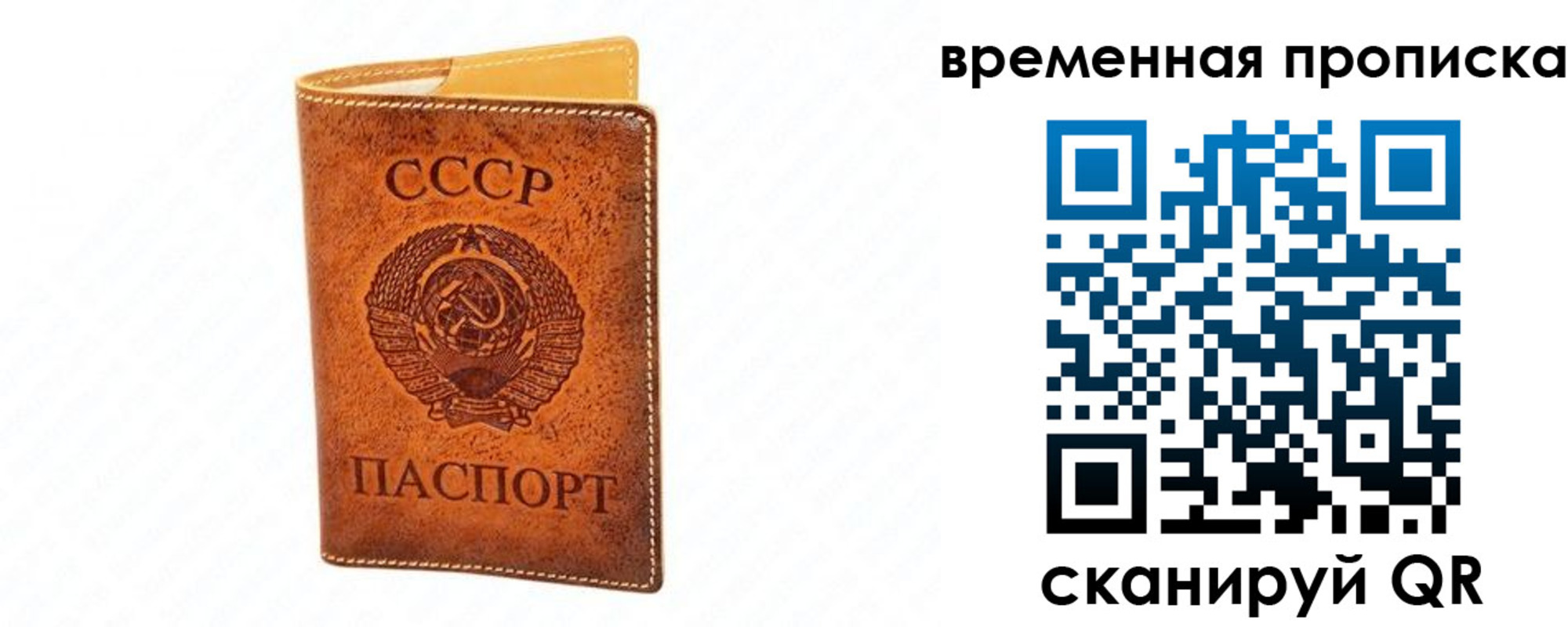 временная прописка в Полярных Зорях